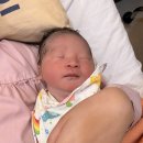 수원 에덴메디여성병원 자연분만 후기 ㅣ 39주 3일 갑작스럽게 시작된 진통
