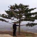 초지농장 이미지