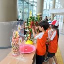 교대부설초교 이미지