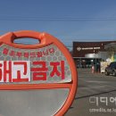 충청미디어