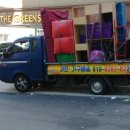 더 그린즈 이미지