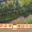 다림건축사사무소 이미지