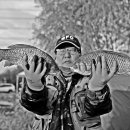 노양리 화장실 이미지