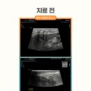 한마음종합동물병원 이미지