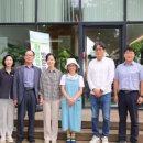 김영 카카오 검색결과