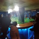 청춘바다낚시 이미지