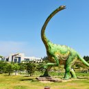 공룡박물관 이미지