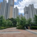 새샘약국 이미지