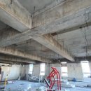 지엘 핏 이미지