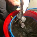 못난이샤크 실내바다낚시터 이미지