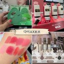 카라 | 다이소 신상 VOV 보브 립스틱 · 에뛰드 플레이101 브로우카라 후기