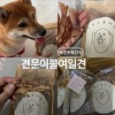 반려동물수제간식창업 | 견문이불여일견 반려동물 수제간식 후기