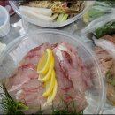 비원쏘가리 이미지