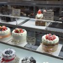 진영빌딩 | 진영빵집 추천 김앤주과자점 진영점, 과일가득케이크 맛집