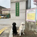 문광초등학교 병설유치원 이미지