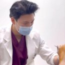 원셀메디의원