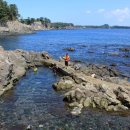 자구리해안 이미지