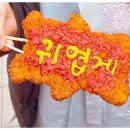 기해년 설날맞이 문화체험 ‘2019년 설날, 함께 하면 복돼지’ | 용인 한국민속촌 설날 행사 새확행! 연날리기 대회 등 풍성한 체험과 할인 Tip