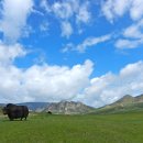 2017년 山景(산 그림) 기획산행 "몽골 트레킹" 4박5일 (2017년 9월8일 ~ 12일) 이미지