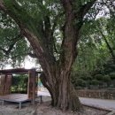 판암동150 이미지