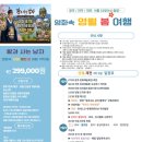 영월-1