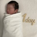 천일어린이집 | 나와 아이를 위해 제일 잘한 것! 데일리 카운트 사진 남겨주기!