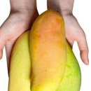 무지개농장2 이미지