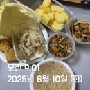 짐부티킹 이미지