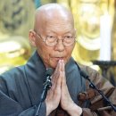 롯데리아내수점 | 롯데리아의 그 저렴함에 대해서(모짜렐라 인더버거/리아새우버거 후기)