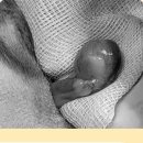 유리브동물병원 이미지