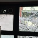 제주통도야지 - 부천시 원미구 소향로37번길 13-22 | 제주통도야지