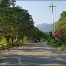 국민관광지(임권택시네마테크) | 전남 가볼만한곳 장성호 관광지 임권택 테마파크 장성호 수변길도 걸어 보세요