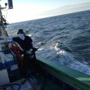 울진왕돌초 이미지