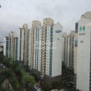 마포상가박사공인중개사사무소 이미지