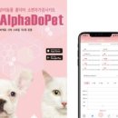검사울 이미지