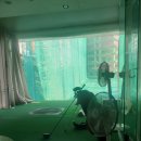 초록스크린골프클럽 이미지