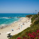 캘리포니아 이미지