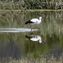 김해 화포천습지 생태학습관 이미지