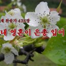 은총 이미지