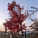 구찌네집 이미지