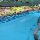 고덕펜션 이미지