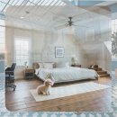 행신동물병원 | 행신 포메라니안분양 체험 후기와 결정을 위한 현실적인 기준