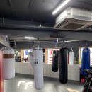 한남 권투 이미지