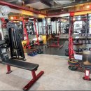 바디캠프 이미지