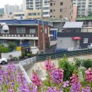 배떡만덕점 이미지