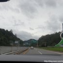 주문진밤도깨비 이미지