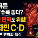 비타민C와 비타민D로 만드는 건강한 면역의 핵심 원리 이미지