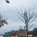 대명닭곰탕