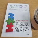 [도서후기] 팀으로 일하라
