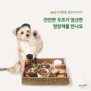 베럴즈 디지털타임스